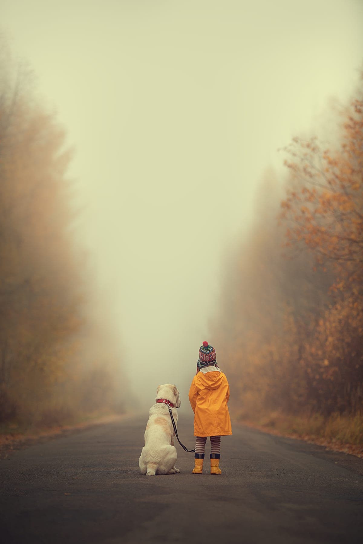 Niña y su perro labrador en un camino con neblina
